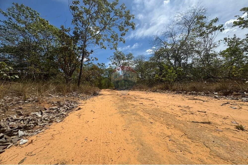 Agro - Venda - Carolina , Maranhão - WhatsApp Image 2025-08-07 at 09.46.19.jpeg - 720991010-76