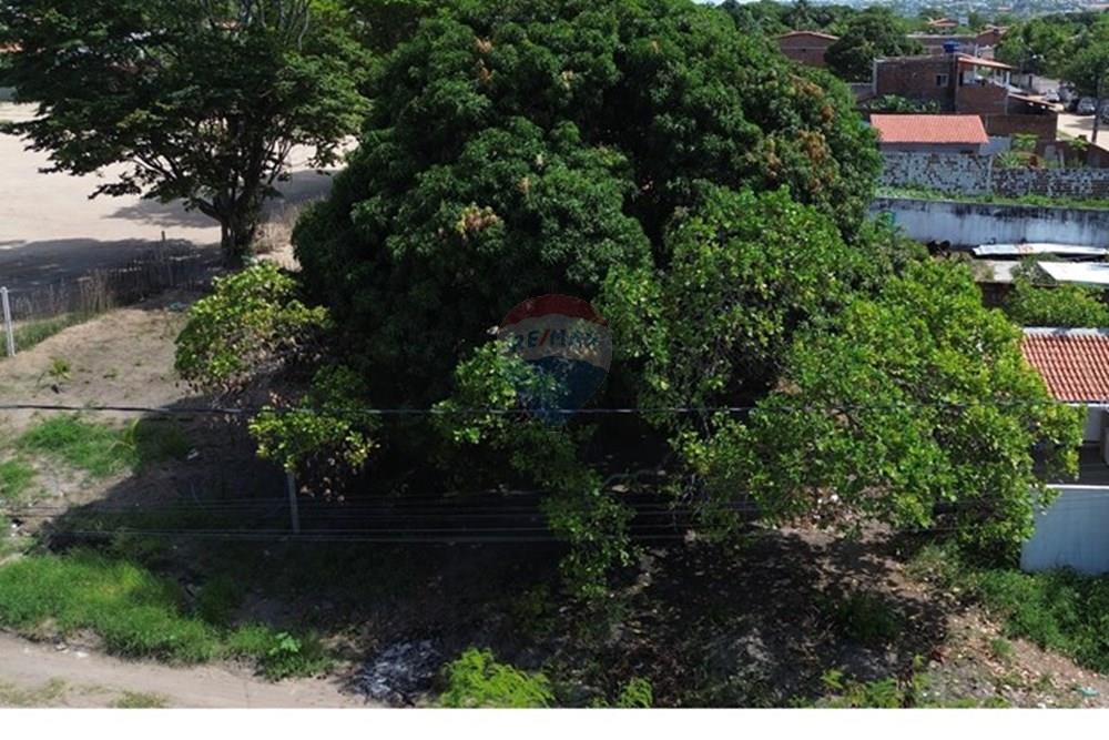 Terreno - Venda - Conde , Paraíba - DJI_0269.JPG.jpeg - 720871047-22