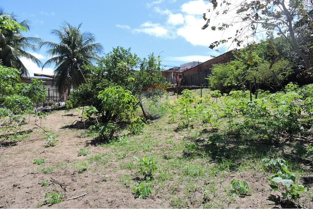 Terreno - Venda - Parnamirim , Rio Grande do Norte - DSCN4932.JPG - 720891130-357