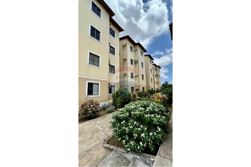 Apartamento - Venda - São Luís , Maranhão - IMG_0524.jpg - 720941005-157