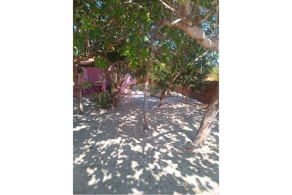 Chácara / Sítio / Fazenda - Venda - Parnaíba , Piauí - WhatsApp Image 2025-10-15 at 09.35.37 (2).jpeg - 722361007-3