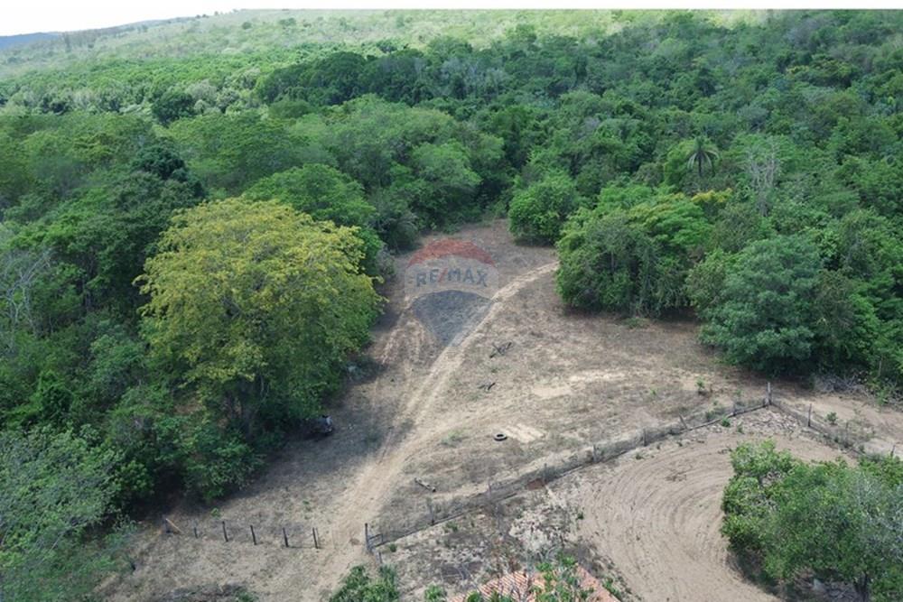 Chácara / Sítio / Fazenda - Venda - Dom Aquino , Mato Grosso - IMG_7838.JPG - 720611016-36