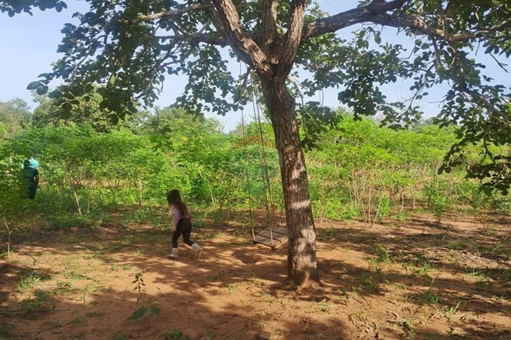 Chácara / Sítio / Fazenda - Venda - Rondonópolis , Mato Grosso - Imagem do WhatsApp de 2025-08-25 à(s) 16.49.15_39a63e36.jpg - 722261001-70