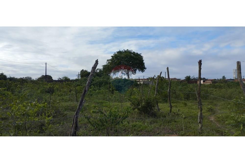 Terreno - Venda - São Gonçalo do Amarante , Rio Grande do Norte - WhatsApp Image 2025-07-18 at 17.38.46.jpeg - 720891003-96