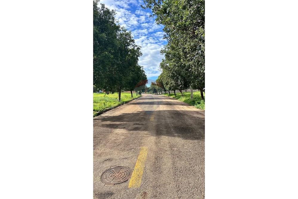 Terreno - Venda - Rondonópolis , Mato Grosso - WhatsApp Image 2026-03-31 at 18.48.00.jpeg - 720851154-251