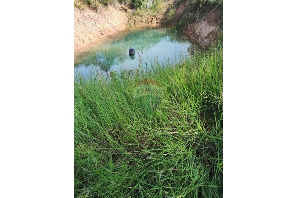 Chácara / Sítio / Fazenda - Venda - Juscimeira , Mato Grosso - WhatsApp Image 2026-03-05 at 10.16.28 (2).jpeg - 721981071-17