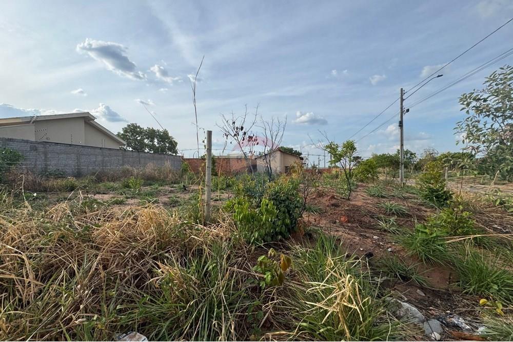 Terreno - Venda - Araguaína , Tocantins - PHOTO-2025-10-07-12-21-05 (3).jpg - 720991008-78