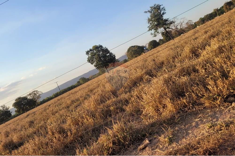 Chácara / Sítio / Fazenda - Venda - Barra do Garças , Mato Grosso - WhatsApp Image 2025-11-05 at 15.28.05.jpeg - 722221002-336