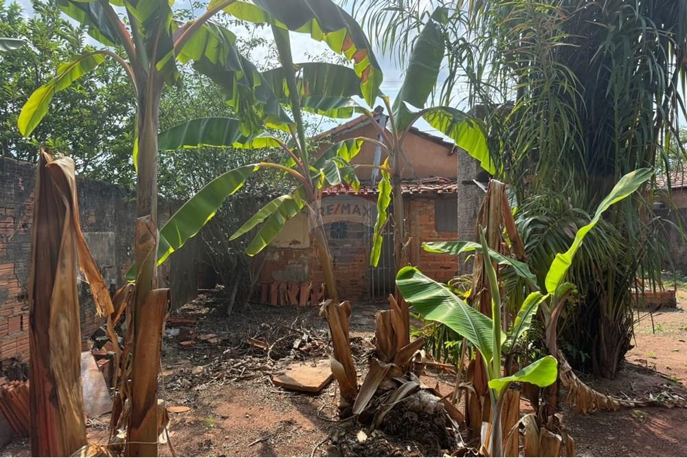 Terreno - Venda - Araguaína , Tocantins - WhatsApp Image 2025-11-19 at 15.44.37 (3).jpeg - 720991046-19