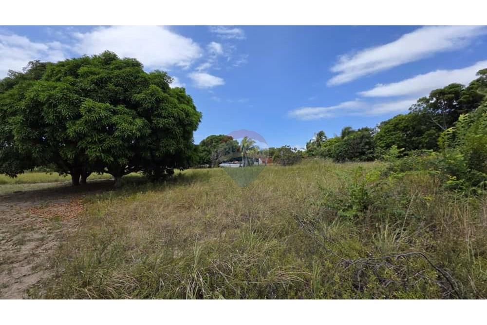 Terreno - Venda - Conde , Paraíba - 7e9c4478-0a40-4178-abe2-37a2354443eb.jpg - 720871015-136