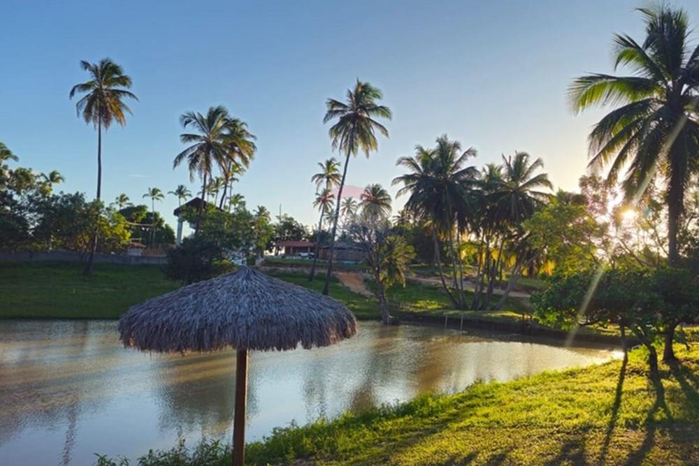 Terreno - Venda - Trairi , Ceará - 1000290741.jpg - 722341005-30