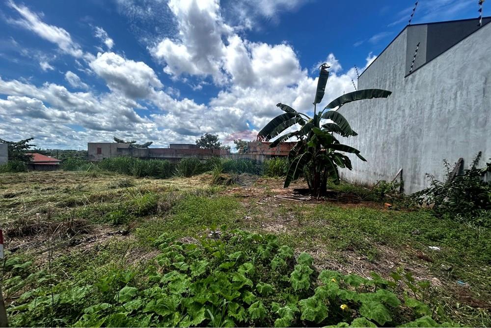 Terreno - Venda - Cacoal , Rondônia - IMG_2074.jpg - 721971001-41