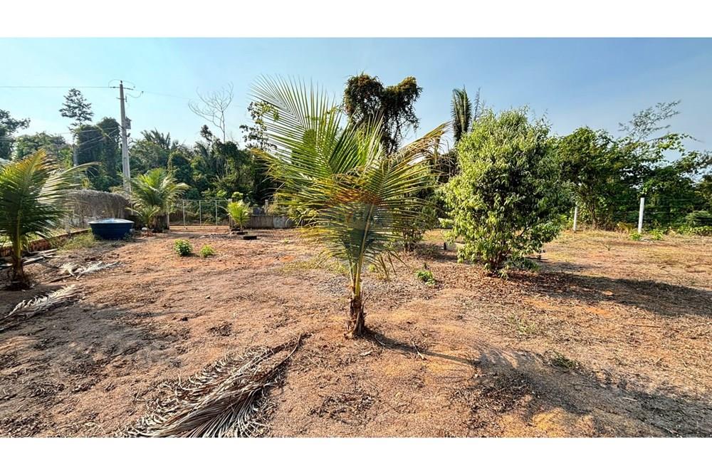 Chácara / Sítio / Fazenda - Venda - Ji-Paraná , Rondônia - WhatsApp Image 2025-08-25 at 16.25.10 (1).jpeg - 722161004-57