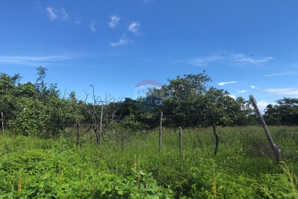 Terreno - Venda - Cruz , Ceará - IMG_0591.jpeg - 722341001-199