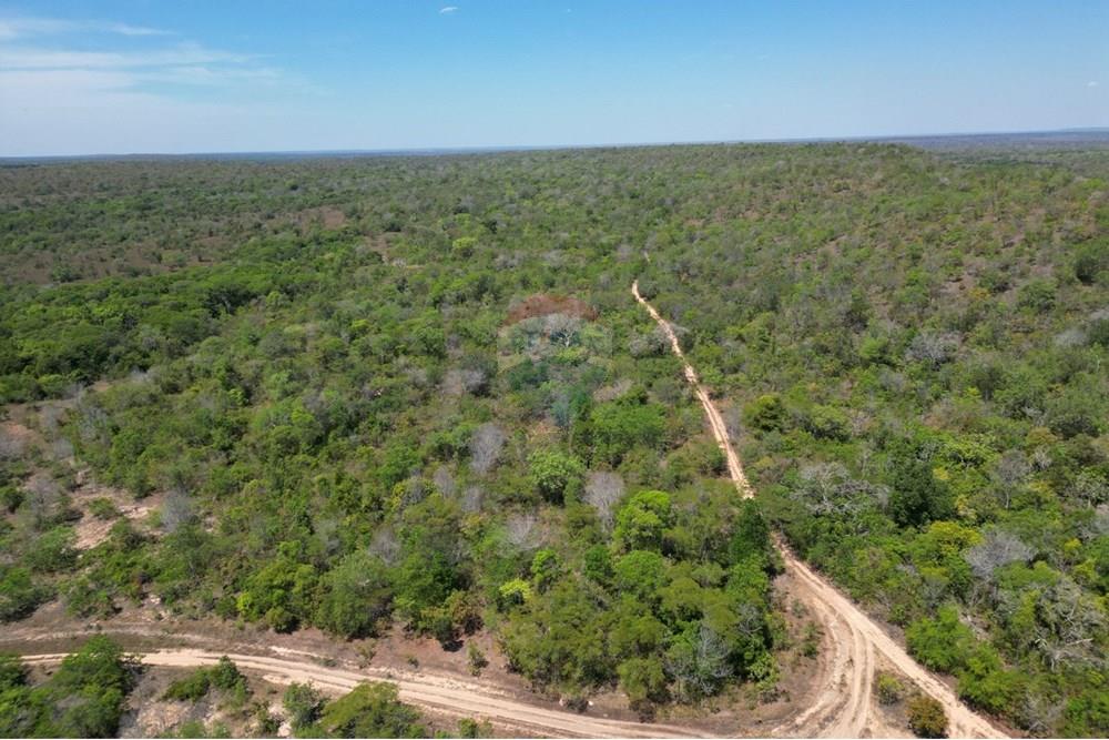 Agro - Venda - Carolina , Maranhão - WhatsApp Image 2025-08-28 at 17.45.07.jpeg - 720991010-76