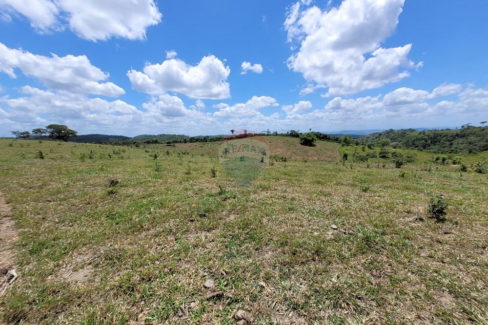 Chácara / Sítio / Fazenda - Venda - Areia , Paraíba - 20230207_105523.jpg - 722011055-52