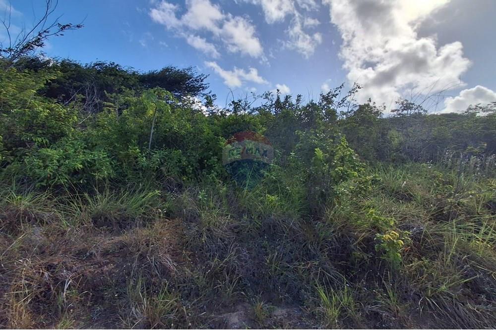 Terreno - Venda - Pitimbu , Paraíba - a3c1eb3c-4a0c-47a4-8717-d12f86787e75.jpeg - 720871044-88