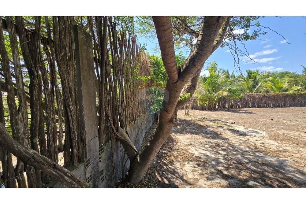 Terreno - Venda - Cruz , Ceará - 20250806_095701 - Copia.jpg - 722341001-74