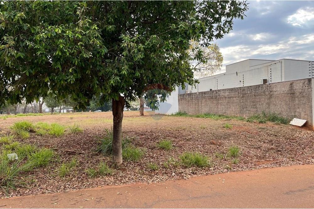 Terreno - Venda - Rondonópolis , Mato Grosso - Imagem do WhatsApp de 2025-10-02 à(s) 10.03.54_0a28d058.jpg - 720611067-3