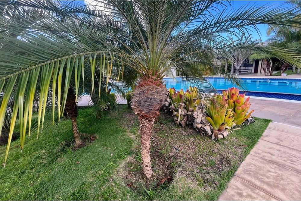 Duplex - Venda - Conde , Paraíba - Imagem do WhatsApp de 2025-10-15 à(s) 11.30.10_07b2f705.jpg - 720871029-74