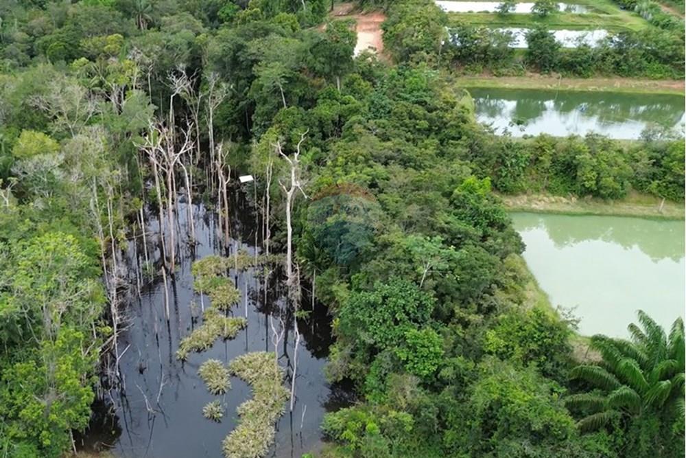 Woningbouw - Boerderij - Novo Airão , Amazonas - BR - Tanques de Peixes14.jpg - 720721055-29