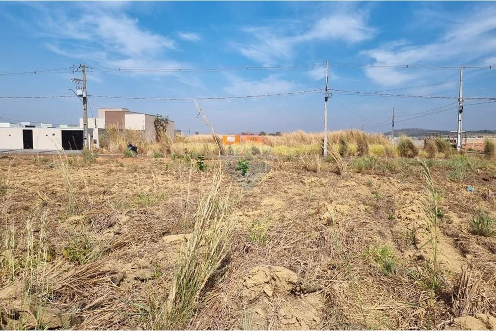 Terreno - Venda - Confresa , Mato Grosso - IMG-20250915-WA0028.jpg - 720641046-5