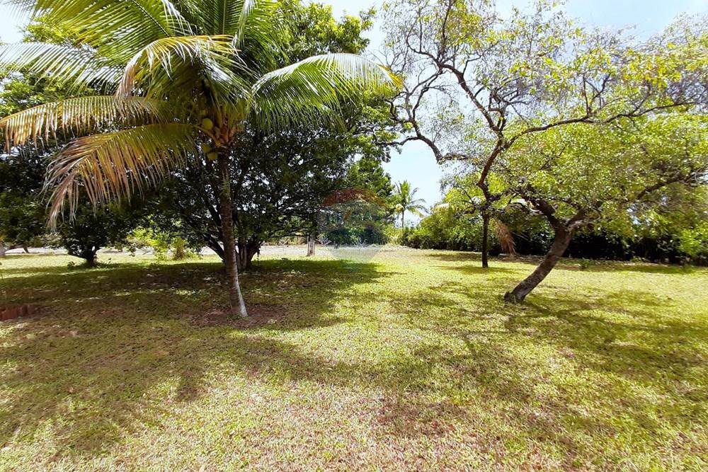 Terreno - Venda - Goiana , Pernambuco - 20201103_103412.jpg - 722011055-50