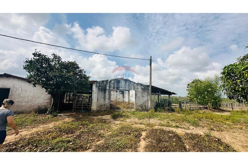 Chácara / Sítio / Fazenda - Venda - São José de Mipibu , Rio Grande do Norte - IMG-20250206-WA0021.jpg - 720811013-67