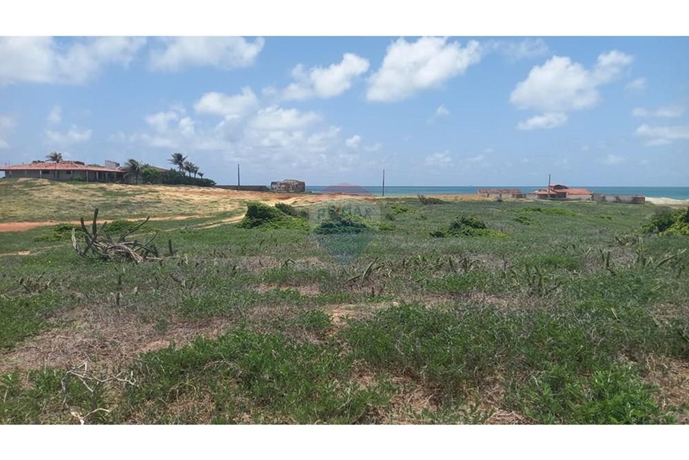 Terreno - Venda - Maxaranguape , Rio Grande do Norte - WhatsApp Image 2026-02-24 at 14.19.25 (1).jpeg - 720891228-28