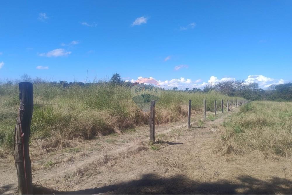 Chácara / Sítio / Fazenda - Venda - Confresa , Mato Grosso - IMG-20250926-WA0027 - Copia.jpg - 720641046-11