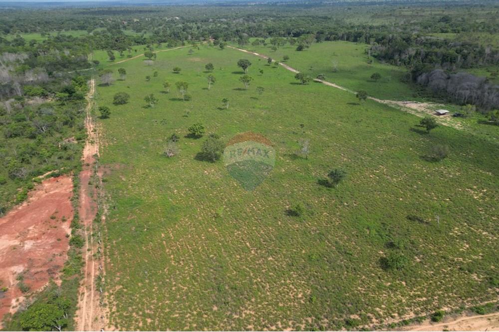 Fazenda - Venda - Araguaína , Tocantins - WhatsApp Image 2025-12-13 at 19.32.31.jpeg - 720991010-81