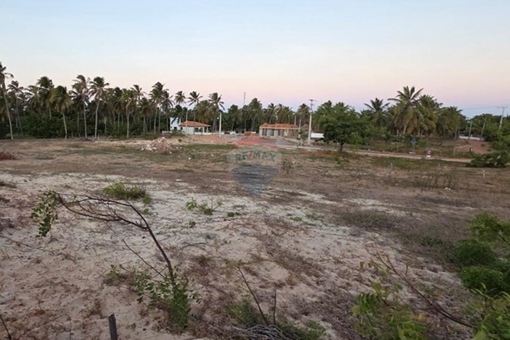 Terreno - Venda - Trairi , Ceará - 1000190157.jpg - 722341001-102