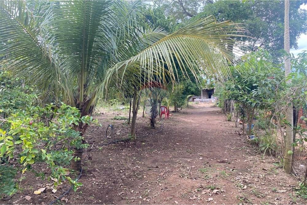 Terreno - Venda - Rondonópolis , Mato Grosso - 03 terreno JL.jpeg - 721981070-13