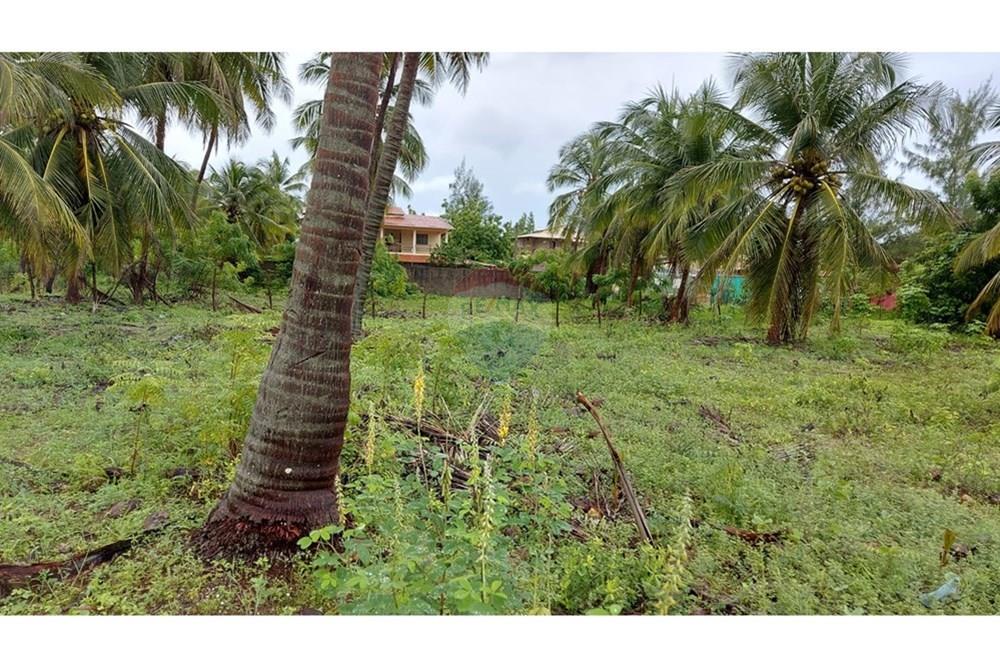 Casa - Venda - Itarema , Ceará - WhatsApp Image 2025-03-10 at 20.58.30 (1).jpeg - 720321029-403