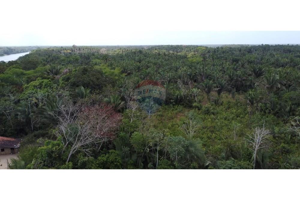 Fazenda - Venda - Rosário , Maranhão - IMG_0646.jpg - 722281002-38