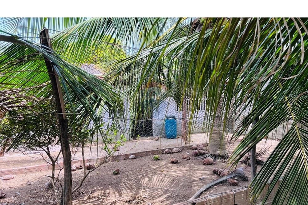 Casa - Venda - Conde , Paraíba - WhatsApp Image 2026-01-31 at 14.25.00.jpeg - 720871004-227