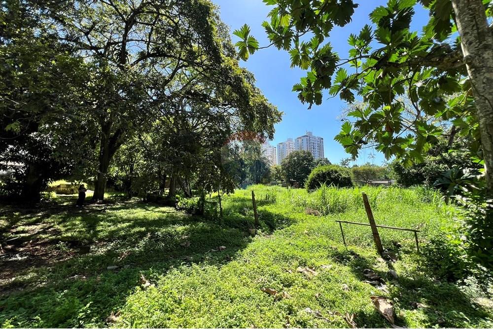 Terreno - Venda - Belém , Pará - IMG_3152.JPEG - 720921007-118