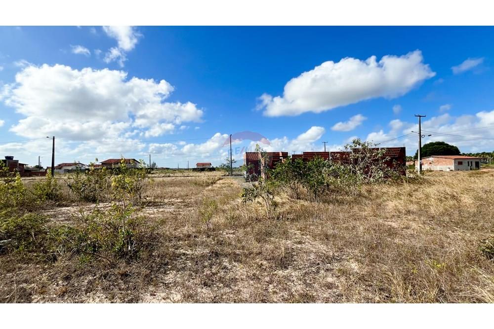 Terreno - Venda - São José de Mipibu , Rio Grande do Norte - 5e5fa999-0c01-4feb-ba57-57d074b9f2db.jpg - 720811011-106