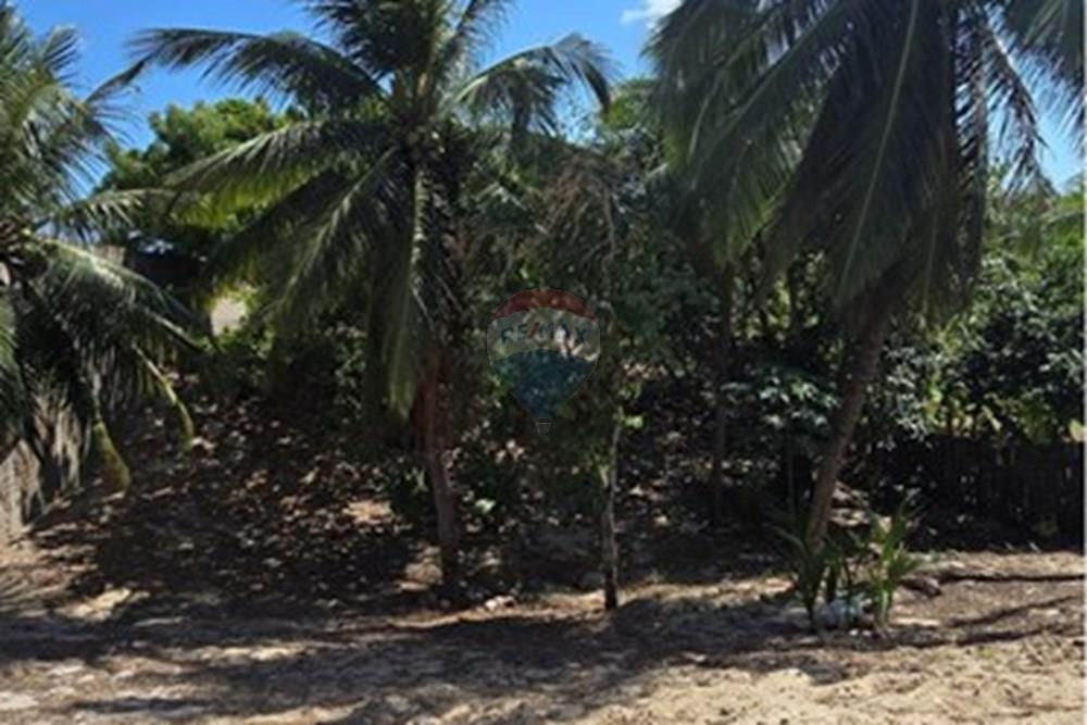 Terreno - Venda - Cruz , Ceará - 20250806_095509.jpg - 722341001-74