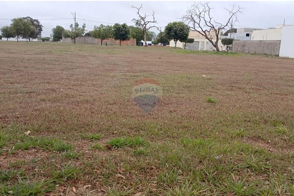 Terreno - Venda - Rondonópolis , Mato Grosso - WhatsApp Image 2025-08-07 at 12.35.31.jpeg - 721981066-4