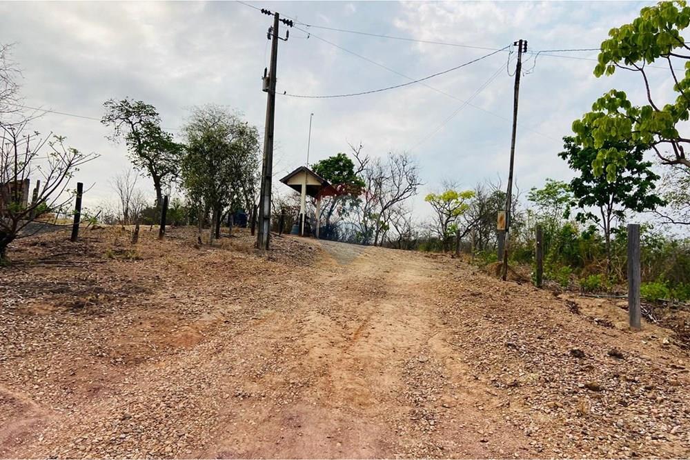 Chácara / Sítio / Fazenda - Venda - Itiquira , Mato Grosso - Rancho entrada.jpg - 720851148-3