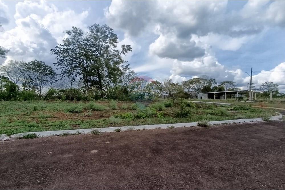 Terreno - Venda - Barra do Garças , Mato Grosso - 34160590-e685-48f1-a693-363a704b7bb2.jpeg - 722221014-35