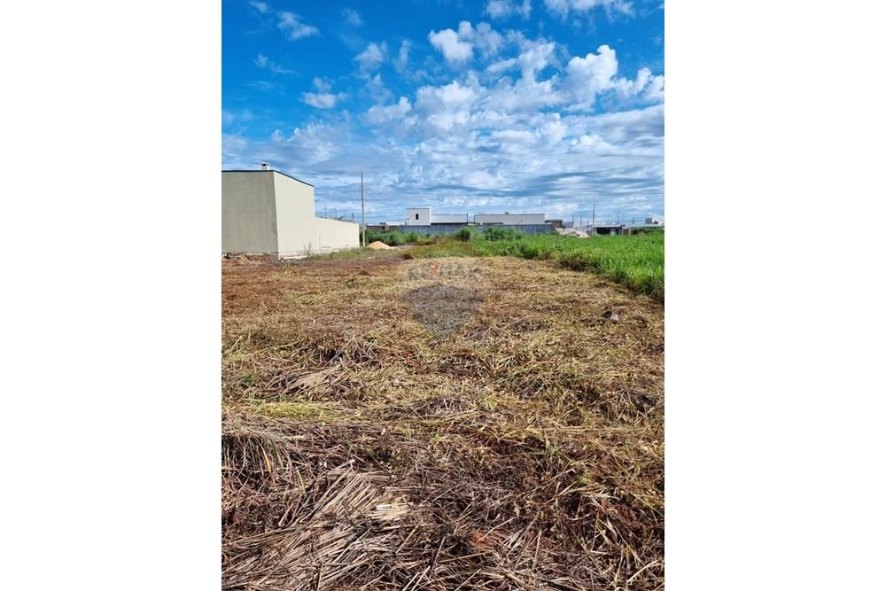 Terreno - Venda - Confresa , Mato Grosso - WhatsApp Image 2026-01-27 at 10.43.32 (1).jpeg - 720641046-17