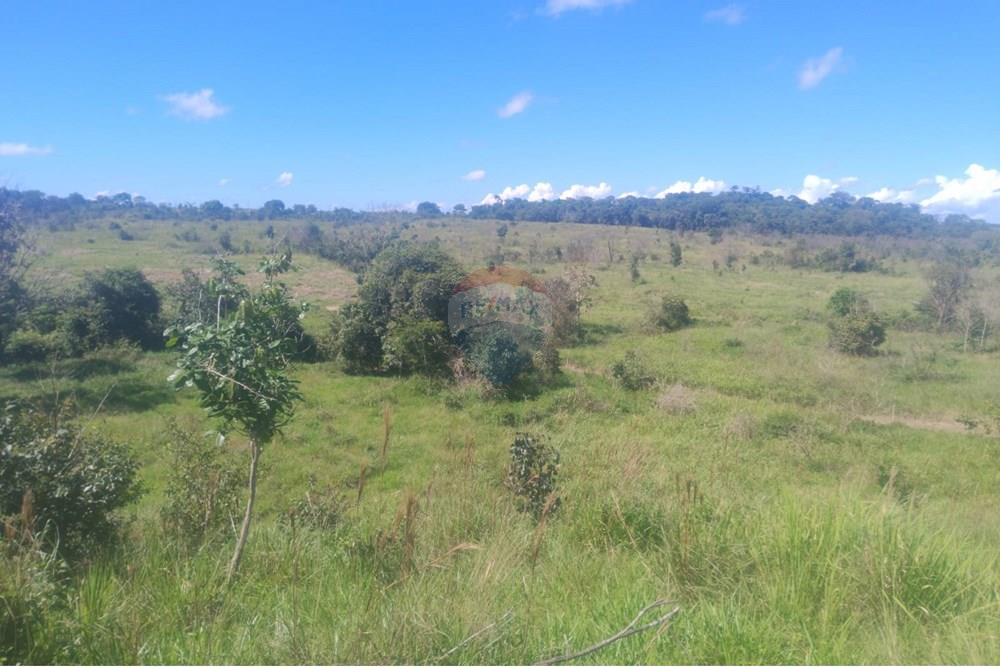 Chácara / Sítio / Fazenda - Venda - Confresa , Mato Grosso - IMG-20250926-WA0035.jpg - 720641046-10