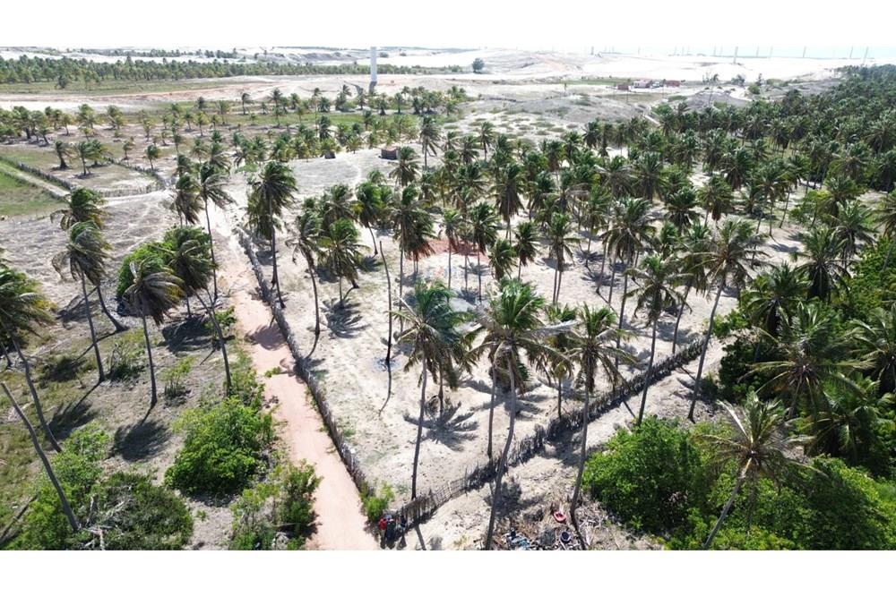 Terreno - Venda - Trairi , Ceará - WhatsApp Image 2026-02-13 at 16.45.34 (1).jpeg - 722341005-47