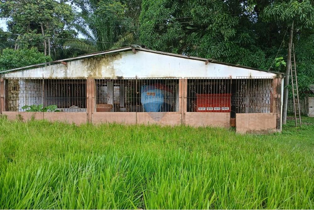 Terreno - Venda - Benevides , Pará - PHOTO-2025-12-22-20-39-39.jpg - 720921008-100