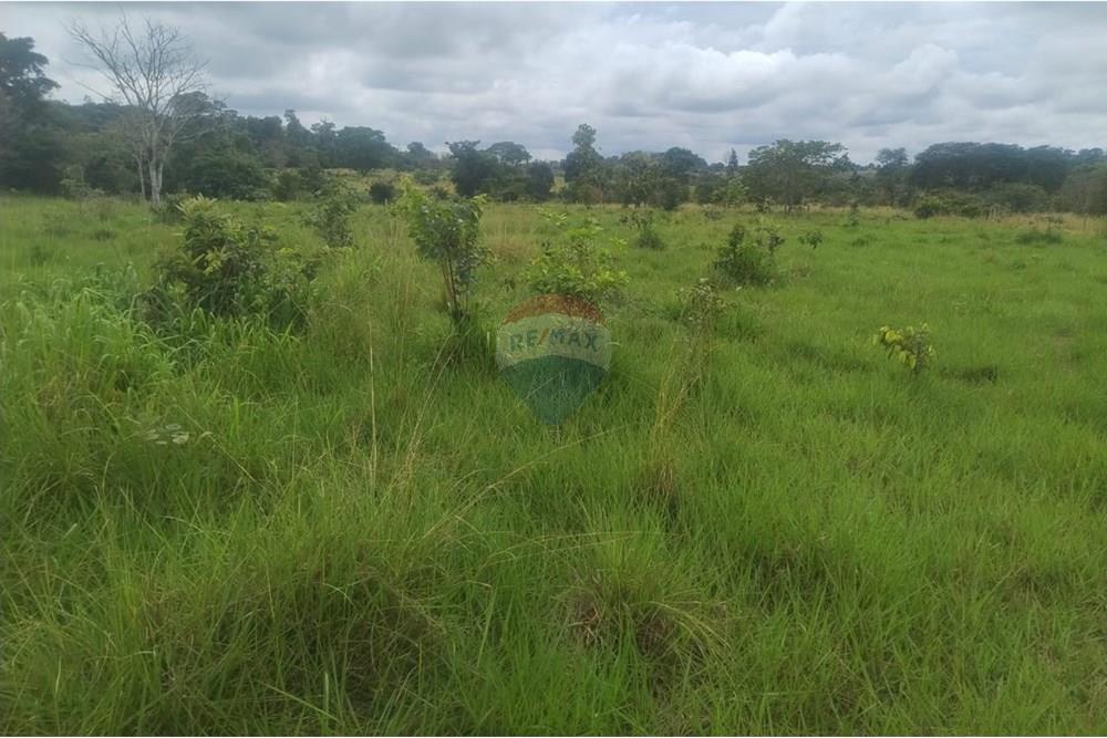 Chácara / Sítio / Fazenda - Venda - Confresa , Mato Grosso - IMG-20250926-WA0037.jpg - 720641046-10