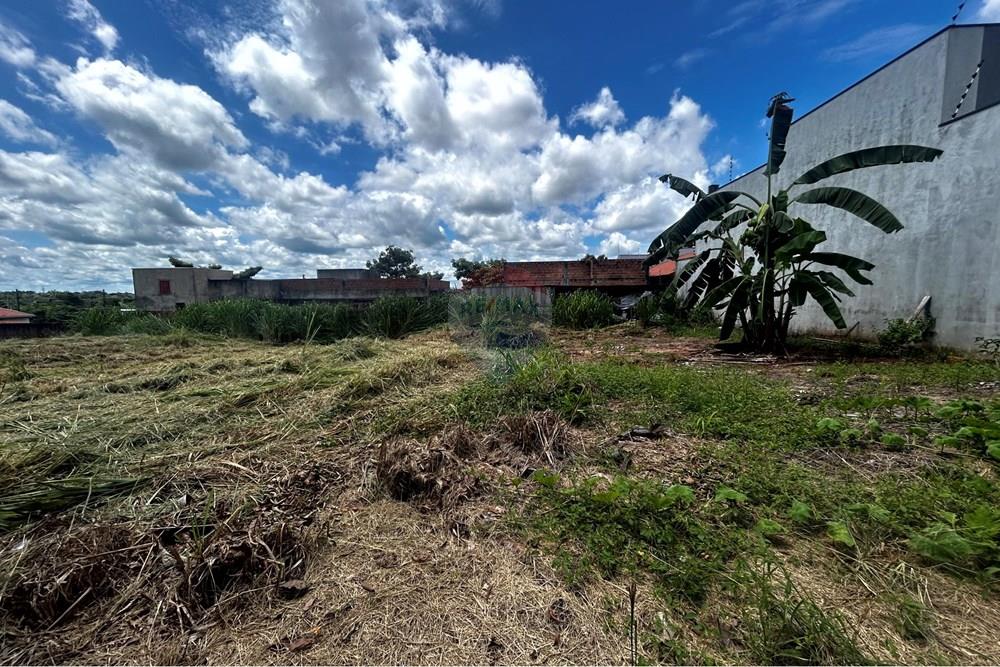 Terreno - Venda - Cacoal , Rondônia - IMG_2073.jpg - 721971001-41