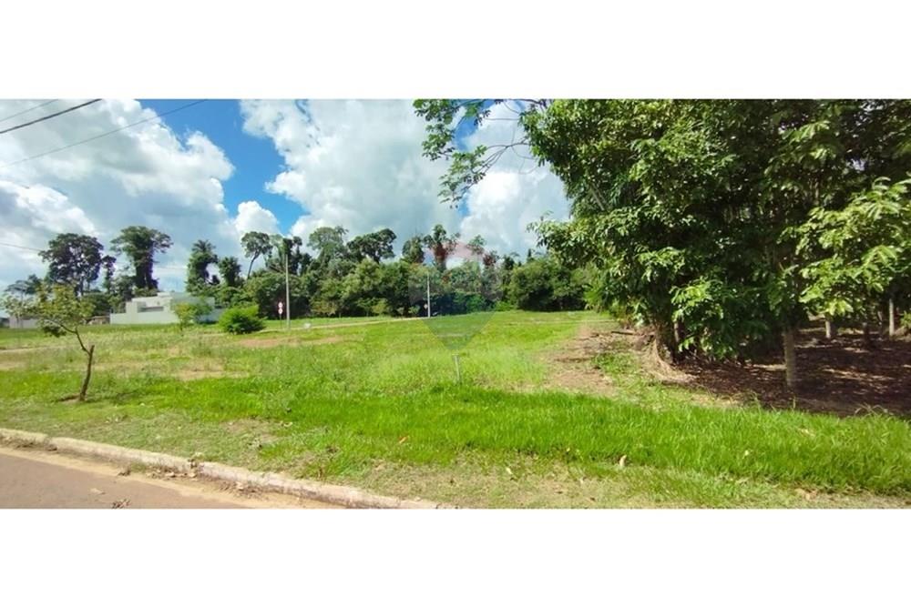 Terreno - Venda - Sinop , Mato Grosso - 11f8348b-dfc2-4133-af7b-ef4cf4e3ad88.jpg - 721561033-5