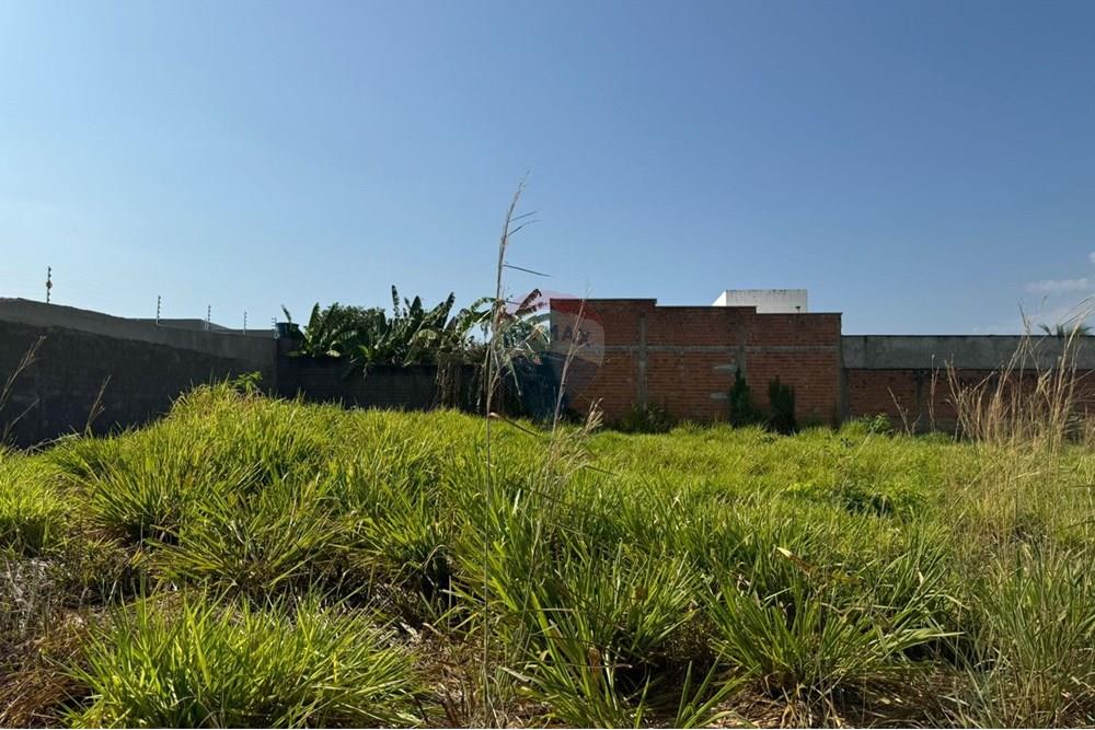 Terreno - Venda - Araguaína , Tocantins - WhatsApp Image 2024-08-22 at 17.40.03.jpeg - 720991002-163